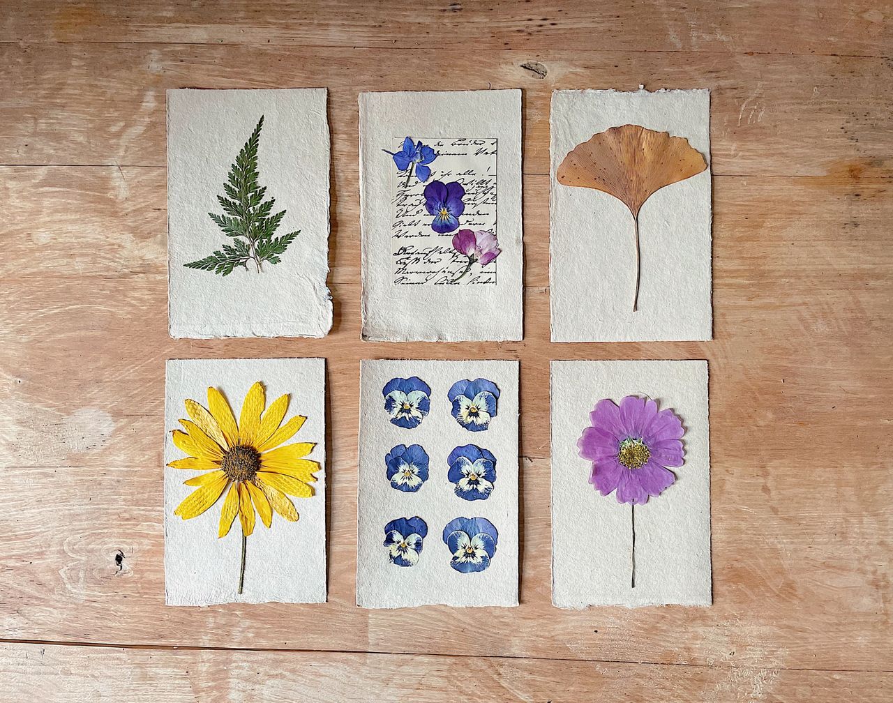 Discover detailed herbarium cards with pressed flowers on a rustic wooden table, showcasing botanical art.